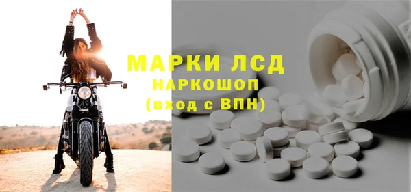 сатива Тверь