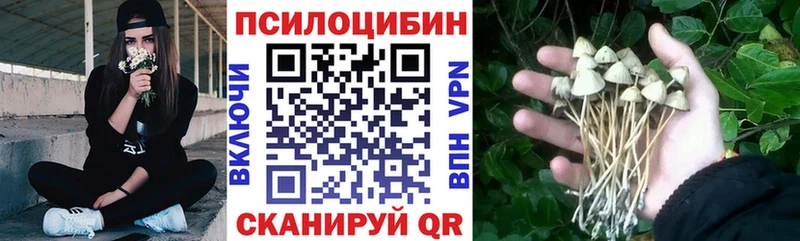 МЕГА рабочий сайт  Каменск-Уральский  Псилоцибиновые грибы GOLDEN TEACHER 