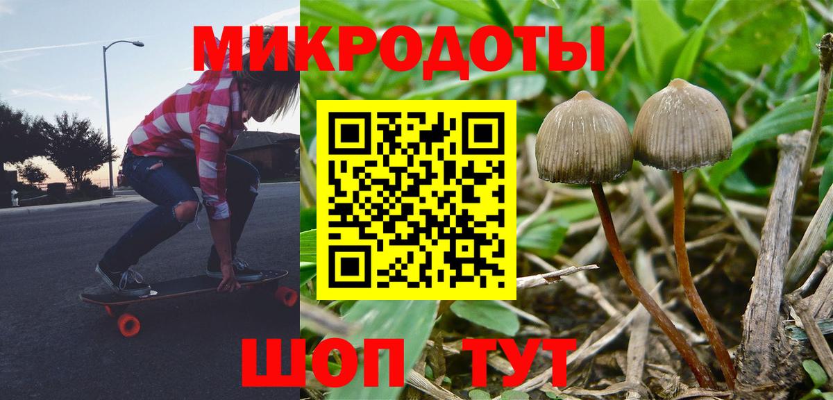 Каменск-Уральский  Псилоцибиновые грибы мицелий  Вход с VPN 